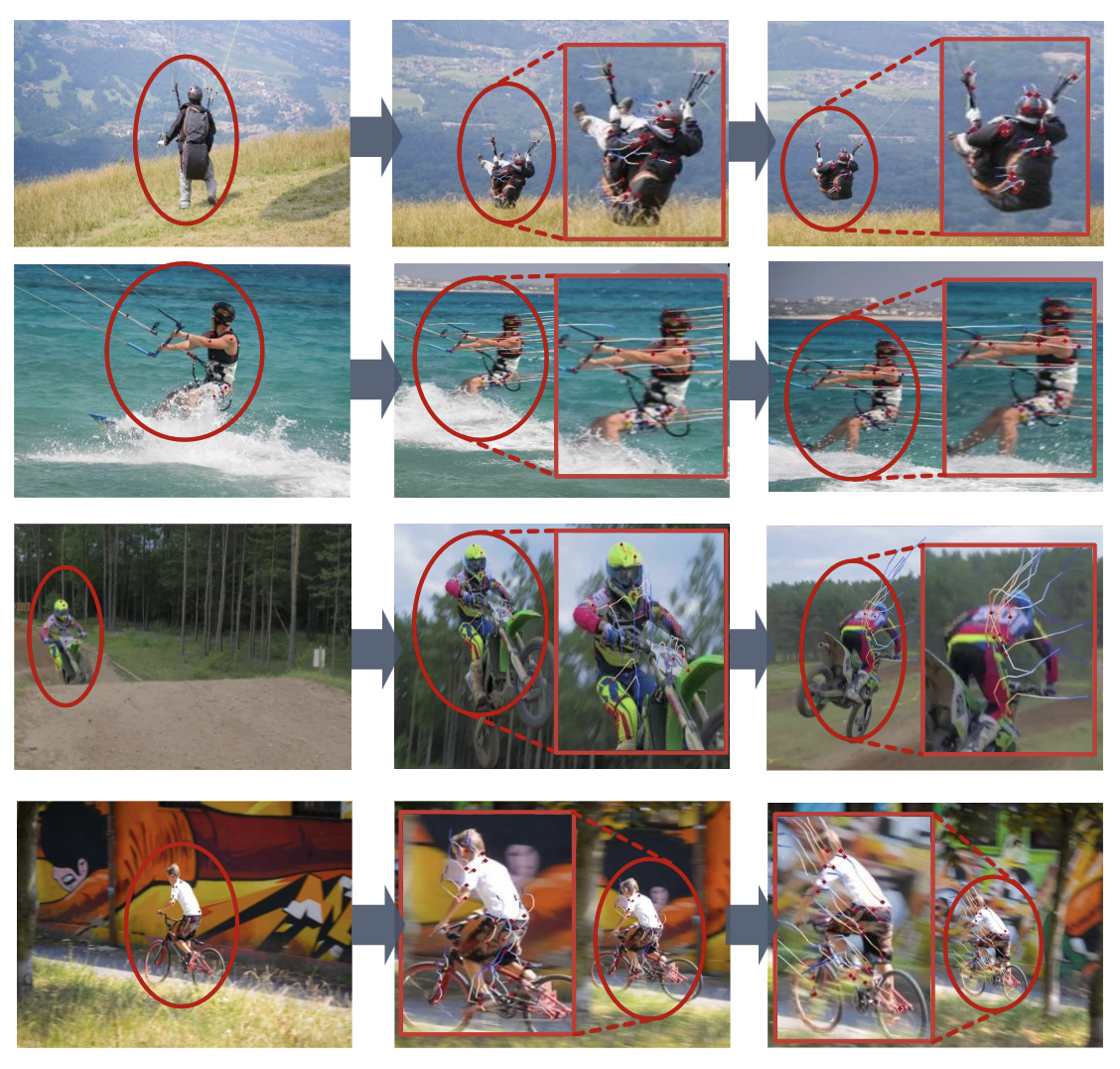 Leveraging Object Priors for Point Tracking thumbnail